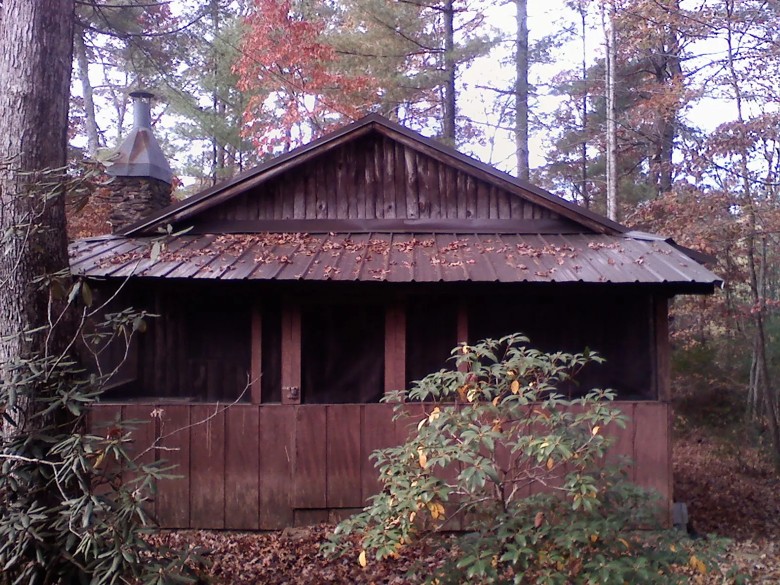 Metal roof over the screened porch of a rustic cabin in Andrews
